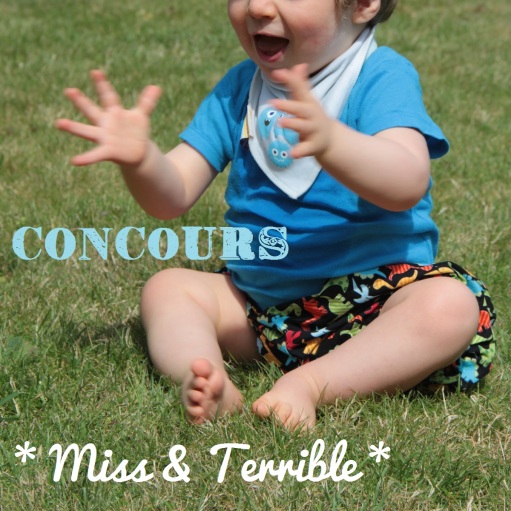 Concours Miss & Terrible (4)2